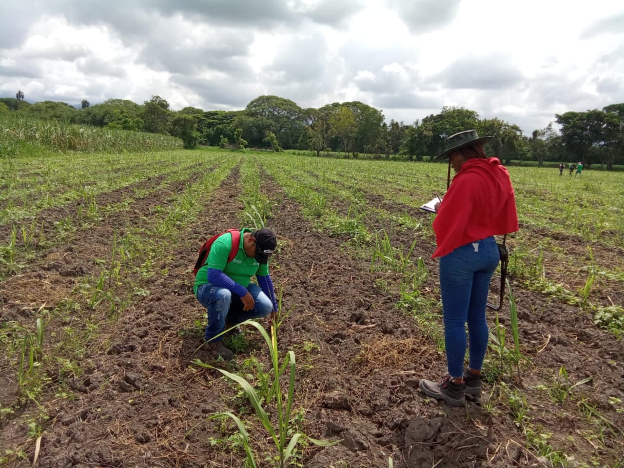 Proyecto y entorno rural de FAGROC