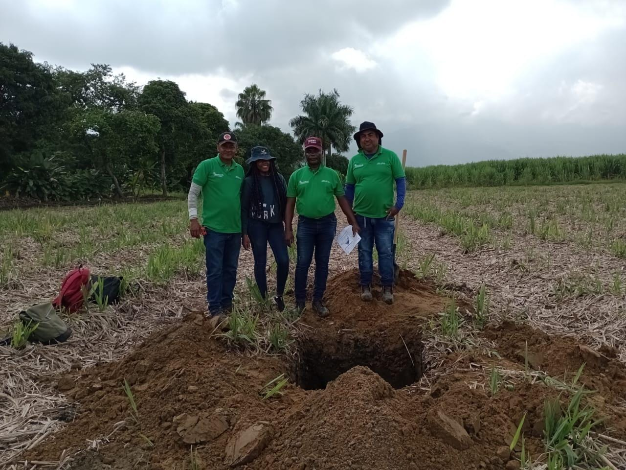 Visión productiva y ambiental de FAGROC